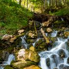 Quellwasser sucht seinen Weg