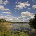 Quellwolken am blauen Himmel