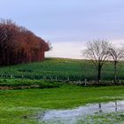 Quelque part dans la vallée de la Seulles