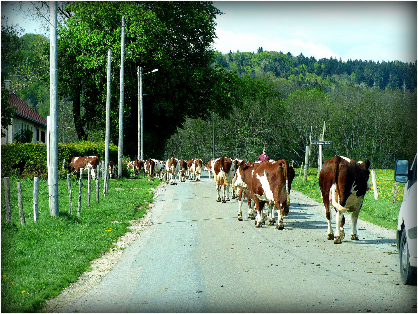 -QUELQUE-PART - DANS - LE - DOUBS - 1  -