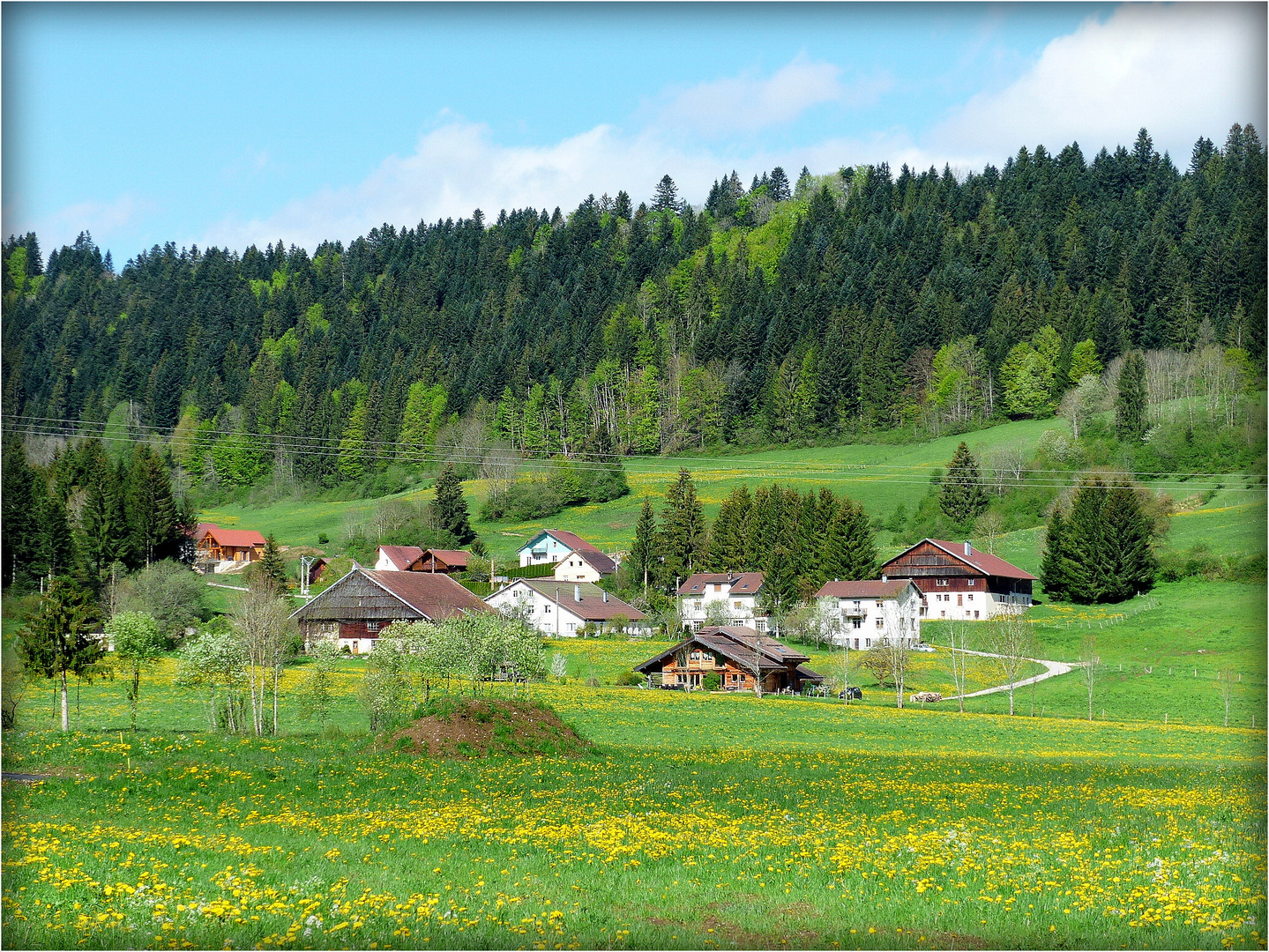 -QUELQUE-PART - DANS - LE - DOUBS -5 -