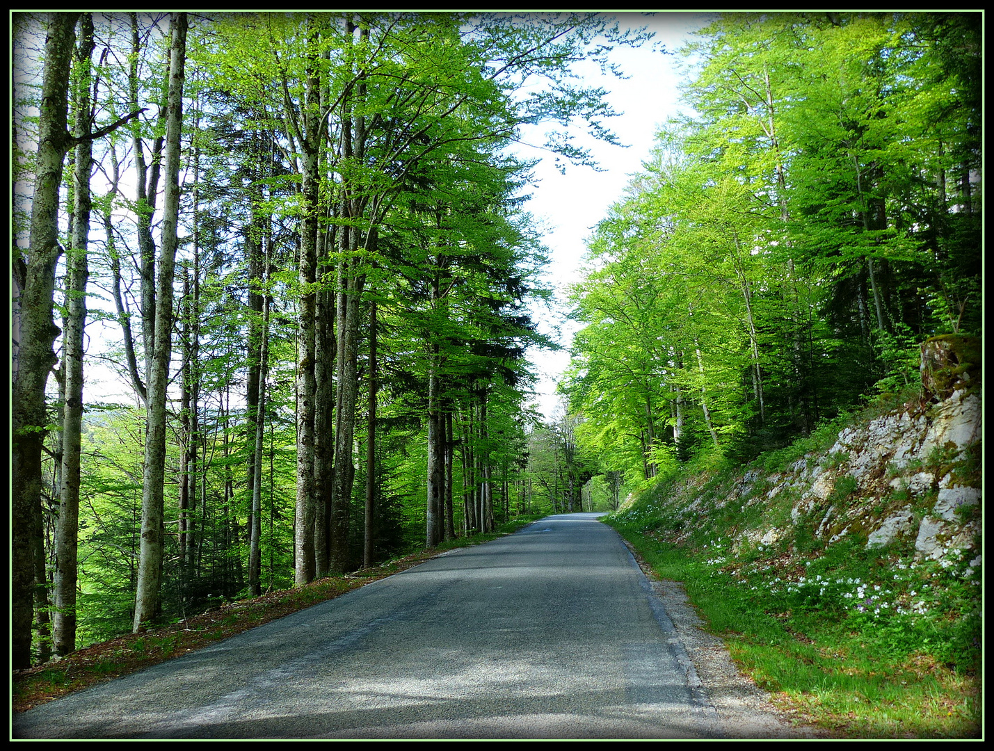 -QUELQUE-PART - DANS - LE - DOUBS 6 -