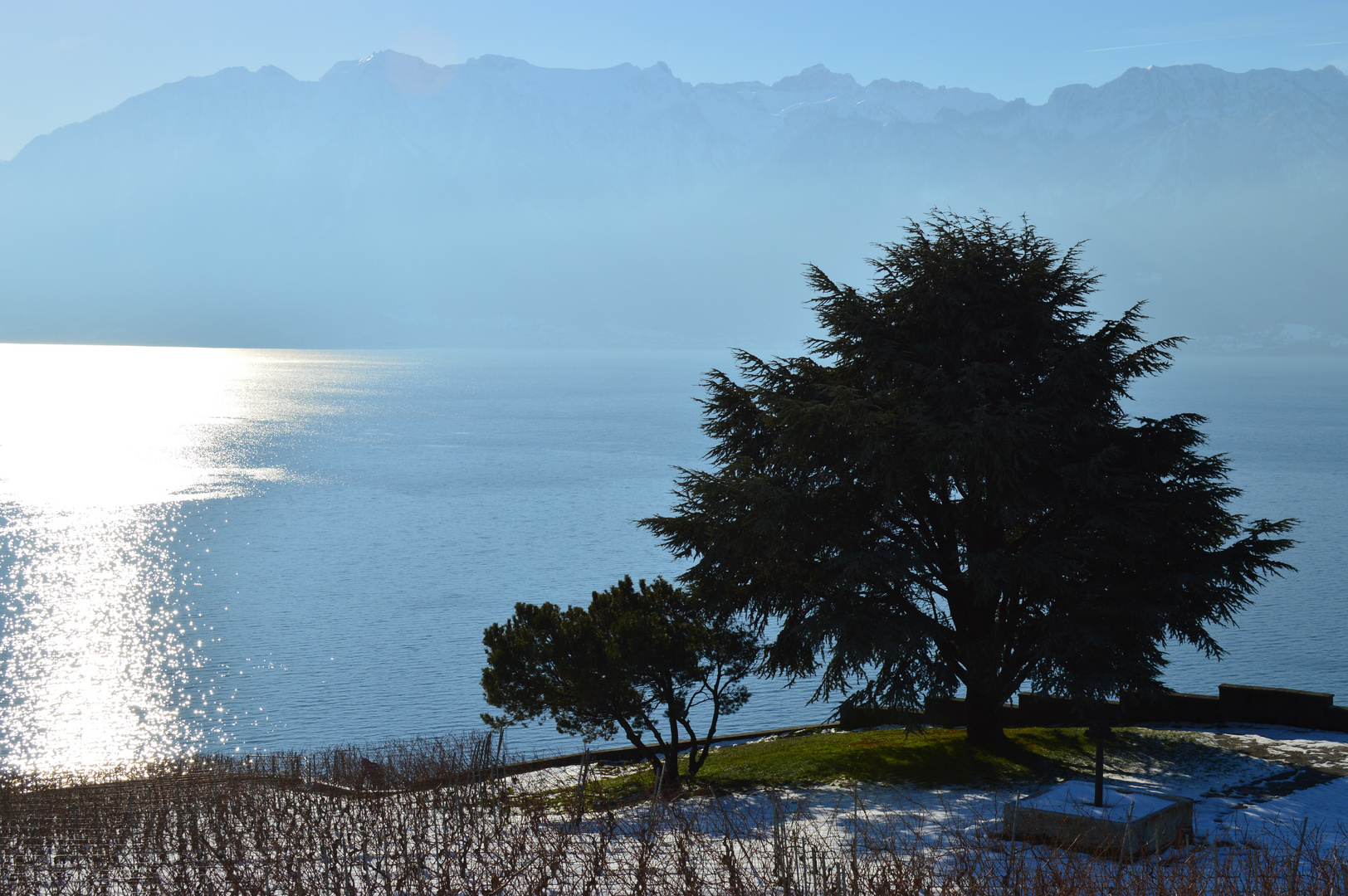 quelque part dans le Lavaux