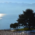 quelque part dans le Lavaux