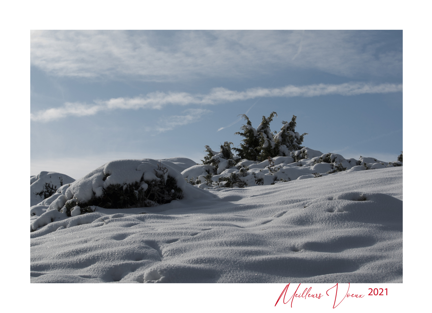 Quelque part dans le massif du Sancy.