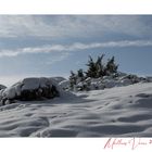 Quelque part dans le massif du Sancy.