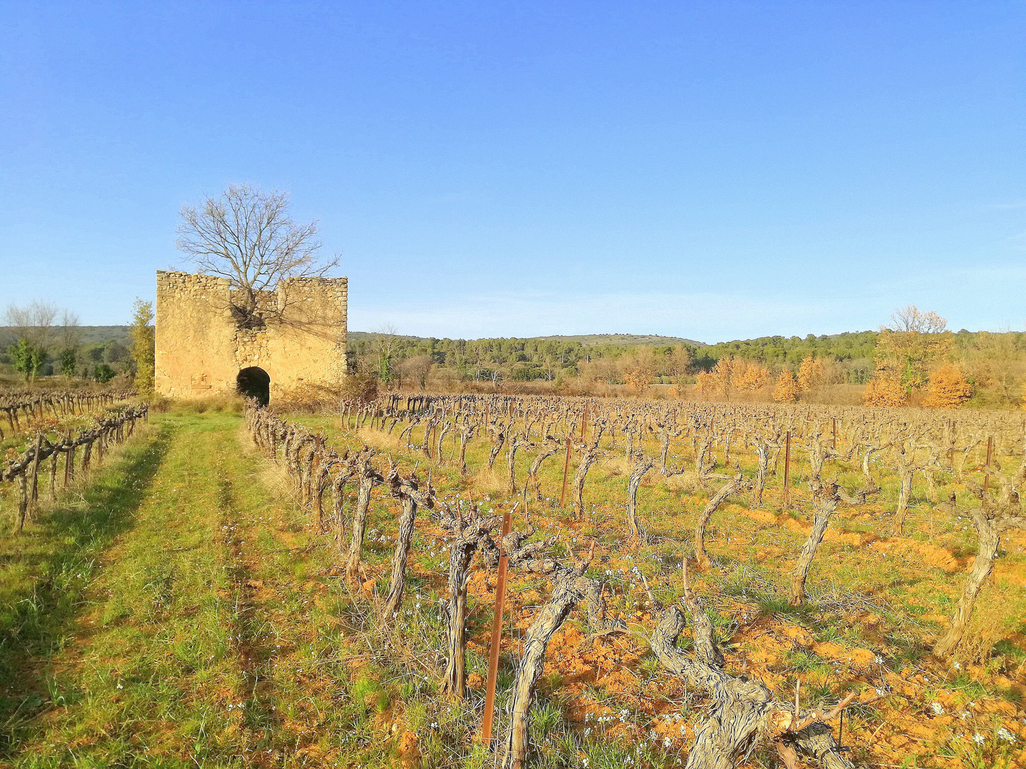 Quelque part en Provence ...