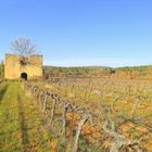 Quelque part en Provence ...