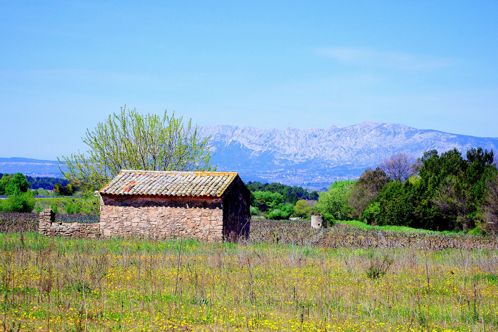 Quelque part en Provence ....