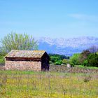 Quelque part en Provence ....