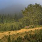 quelque part entre cantal et aveyron