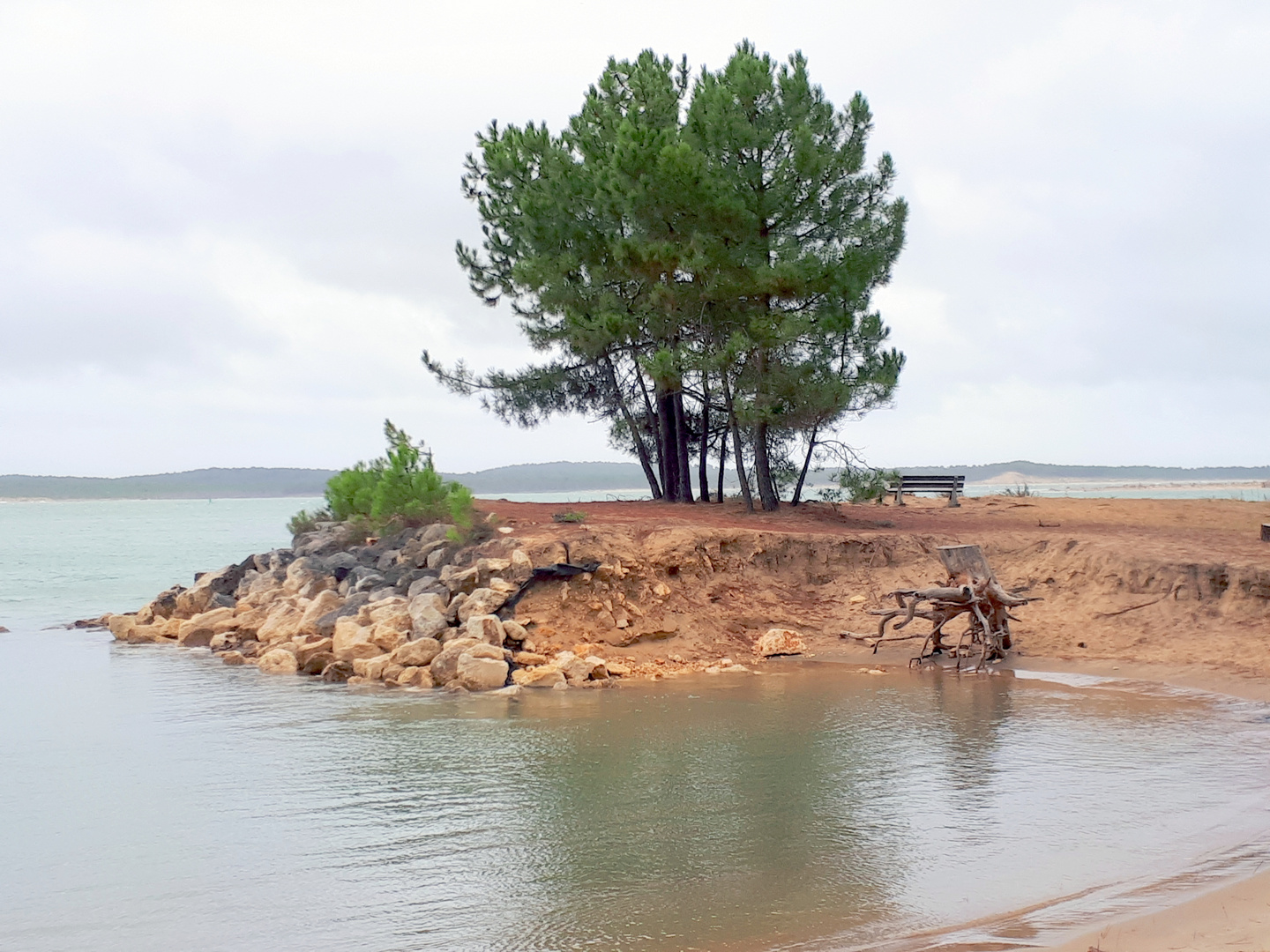 Quelque part sur Oléron ....