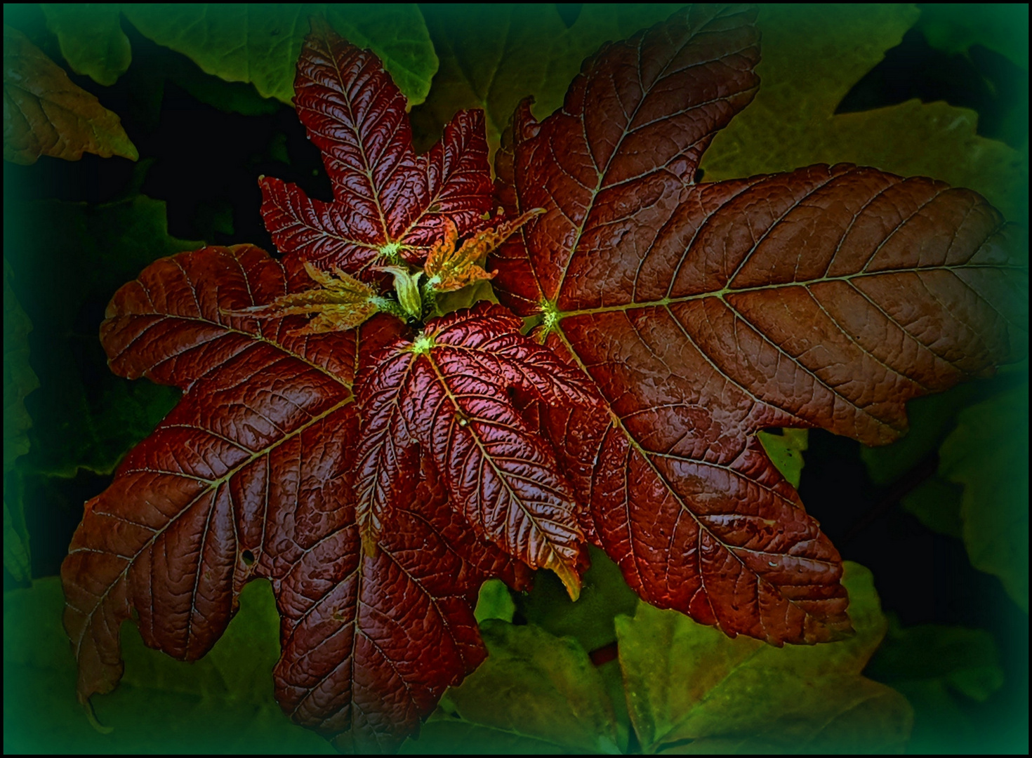 Quelques feuilles en passant