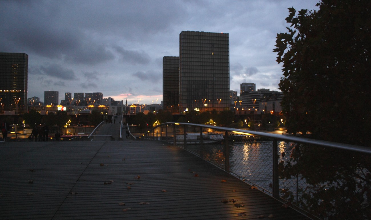 Quelques feuilles mortes sur la passerelle Simone de Beauvoir.