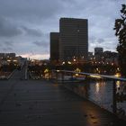 Quelques feuilles mortes sur la passerelle Simone de Beauvoir.