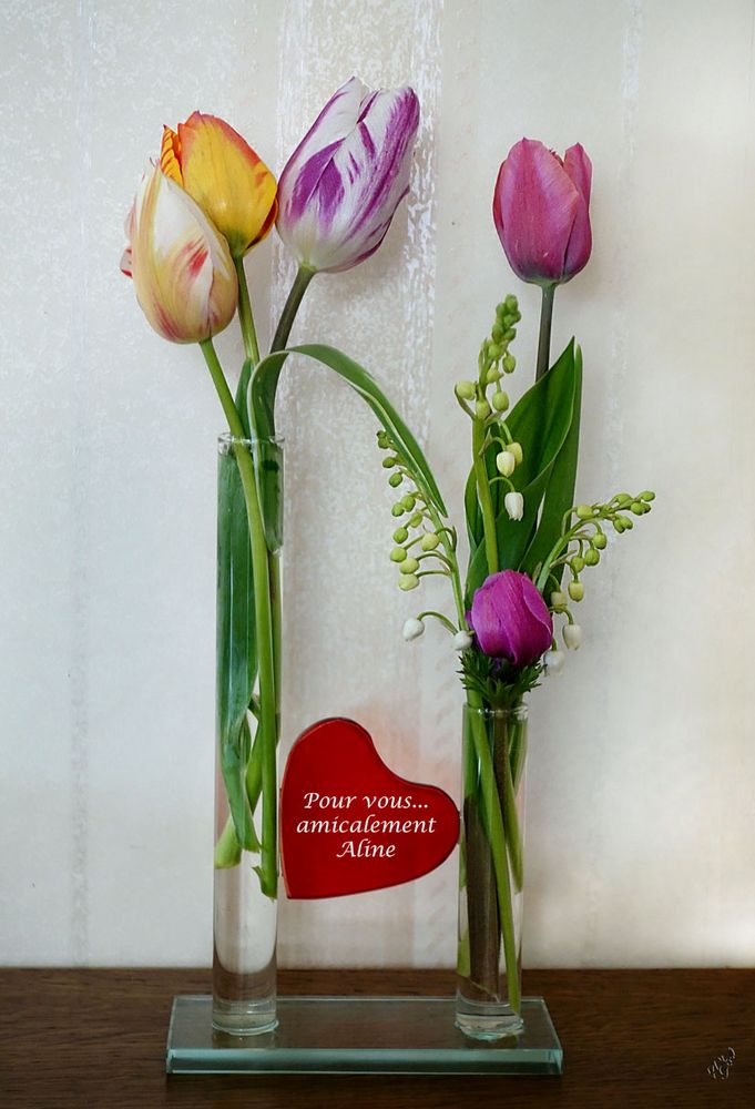 Quelques fleurs du jardin.... photo et image special, animations