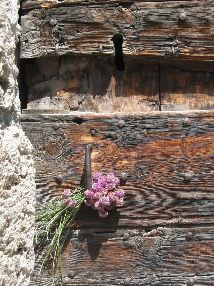 ..Quelques fleurs, laissées à la porte d'une chapelle de Hte-Montagne...