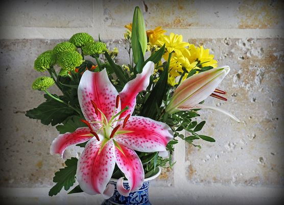 Quelques fleurs pour vous souhaiter une bonne semaine