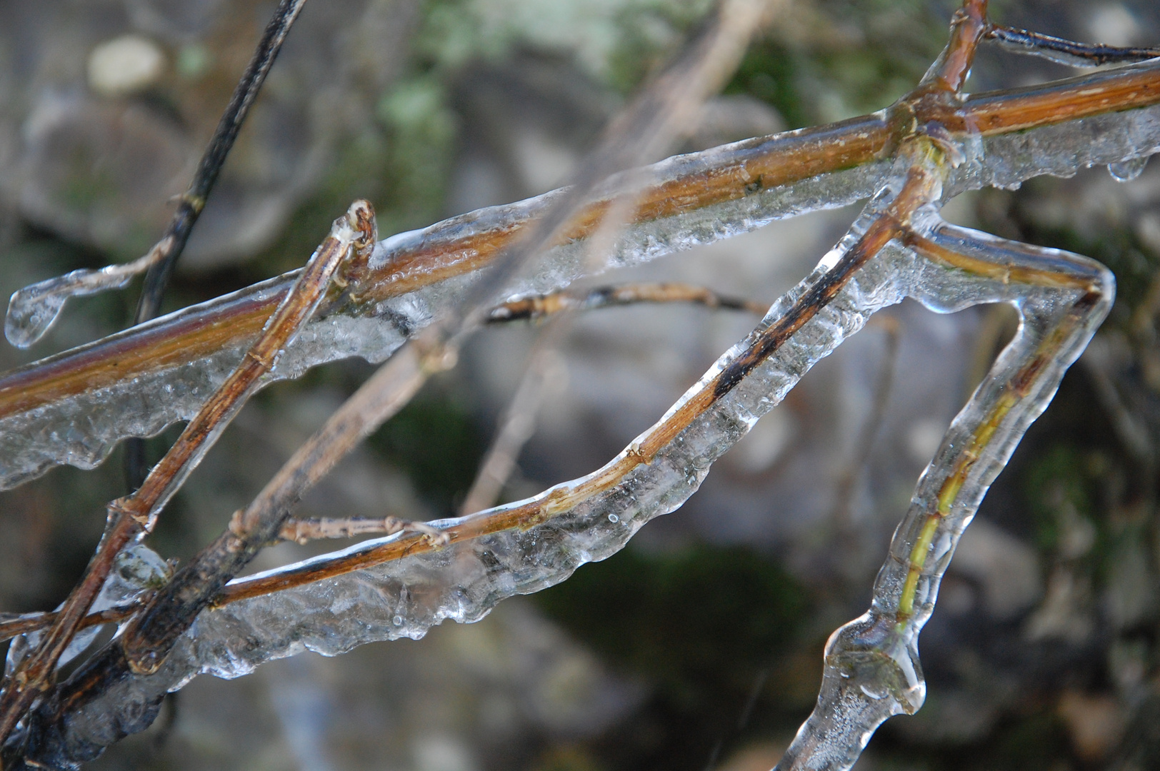 Quelques gouttes à gouttes mélangé à du froid, on obtient ............