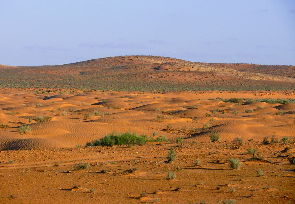 quelques grains de sable...