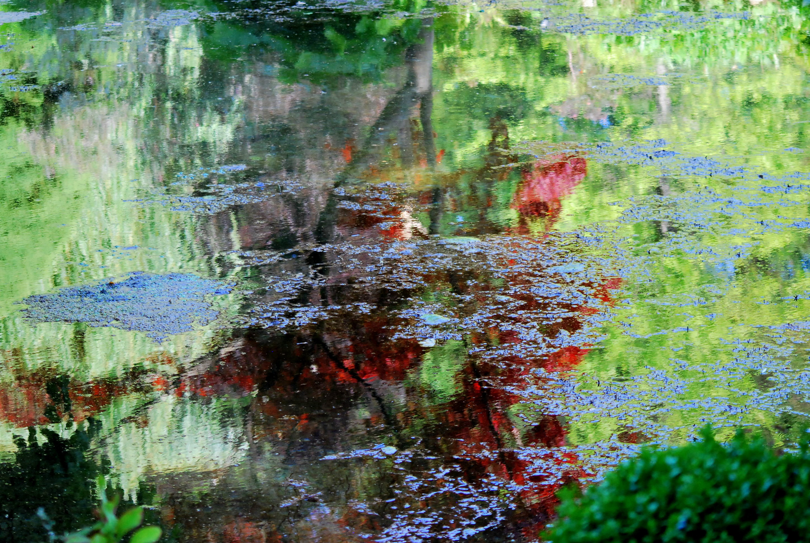 Quelques notes de couleurs au fil de l'eau