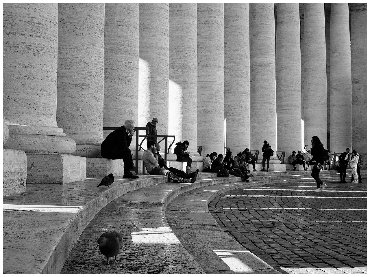 Quelques pigeons du Vatican