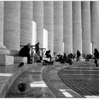 Quelques pigeons du Vatican