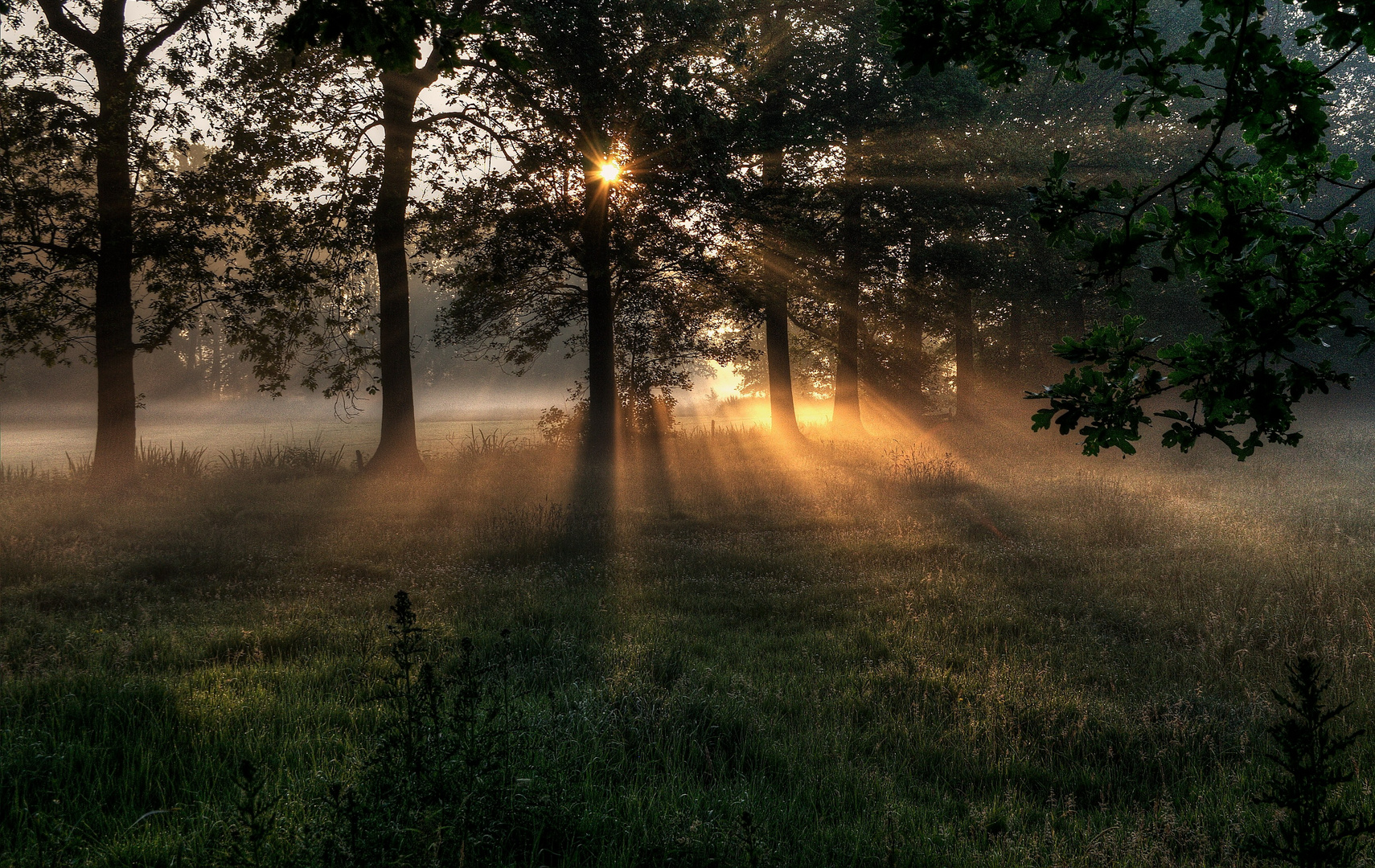 Quelques rayons de soleil