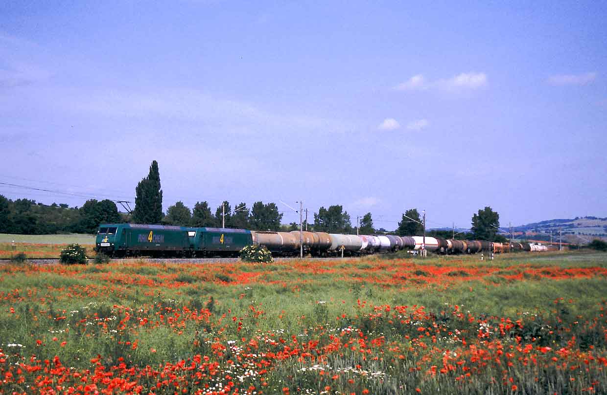 Quer durch den Mohn....