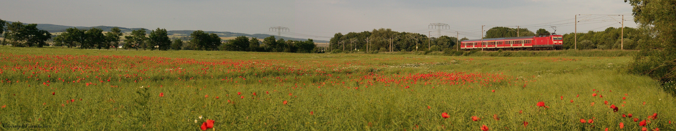 Quer durch den Mohn