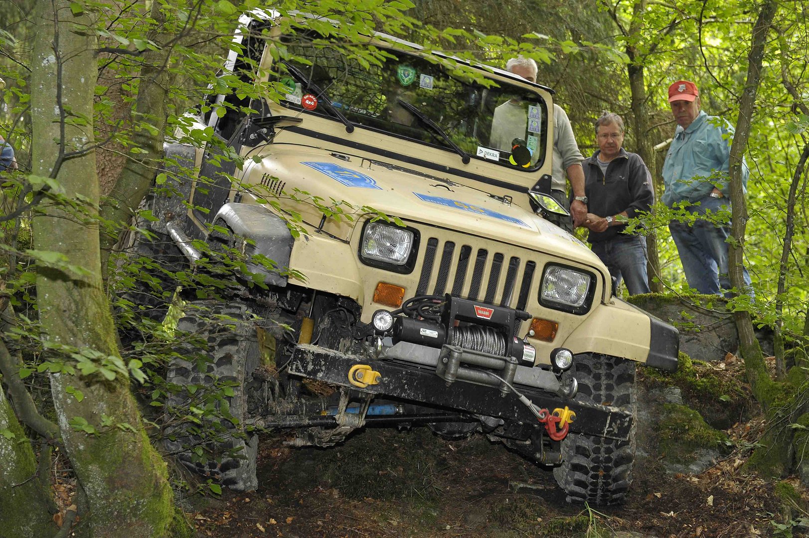 Quer durch den Wald