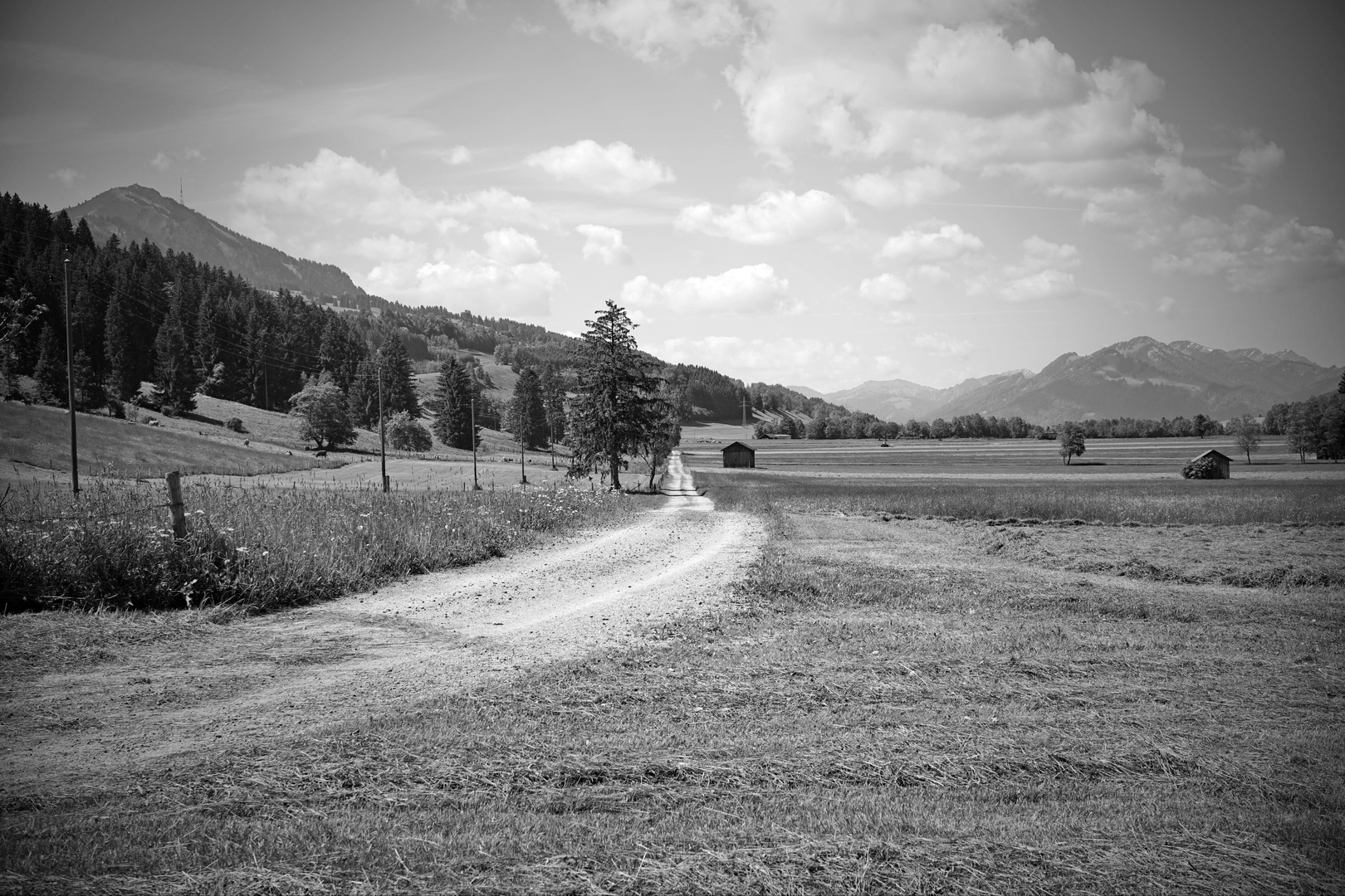 Quer durchs Allgäu