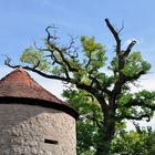 quer vor der Altstadt