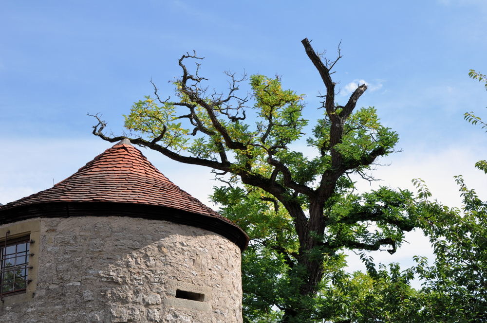 quer vor der Altstadt