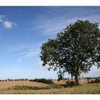 Querfeldein im Klützer Winkel.... ohne Strommasten, aber mit Wind ;-)