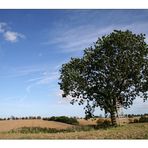 Querfeldein im Klützer Winkel.... ohne Strommasten, aber mit Wind ;-)