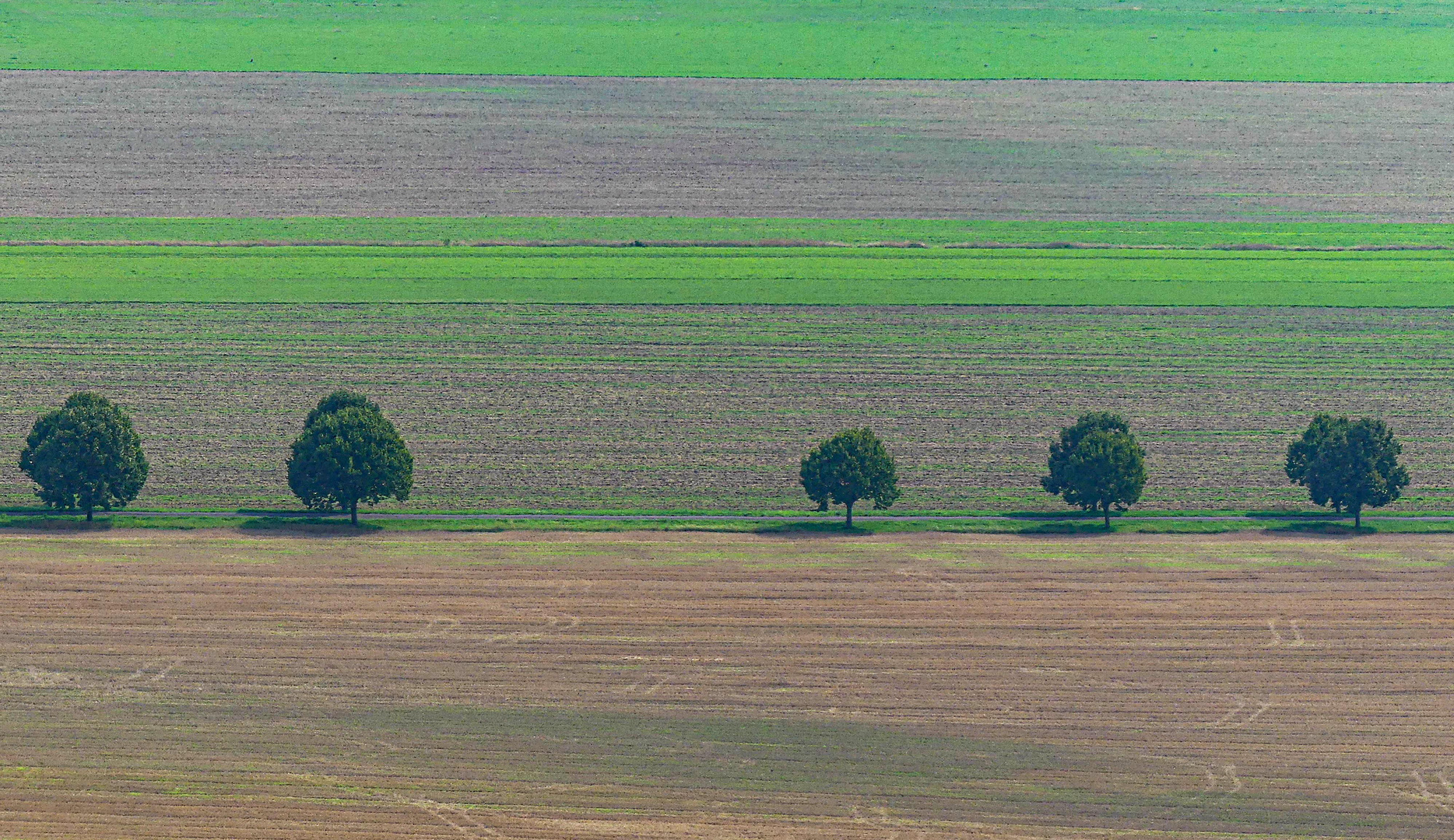 Quergestreift mit Bommeln