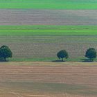 Quergestreift mit Bommeln