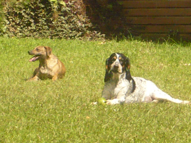 queridos, estamos tomando el sol