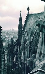 Querstreben Kölner Dom (1986)