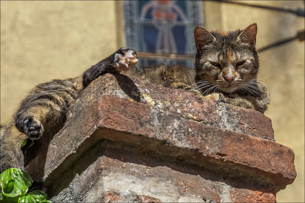 Qu'est-ce qu'on est bien au soleil!!!!!!!!