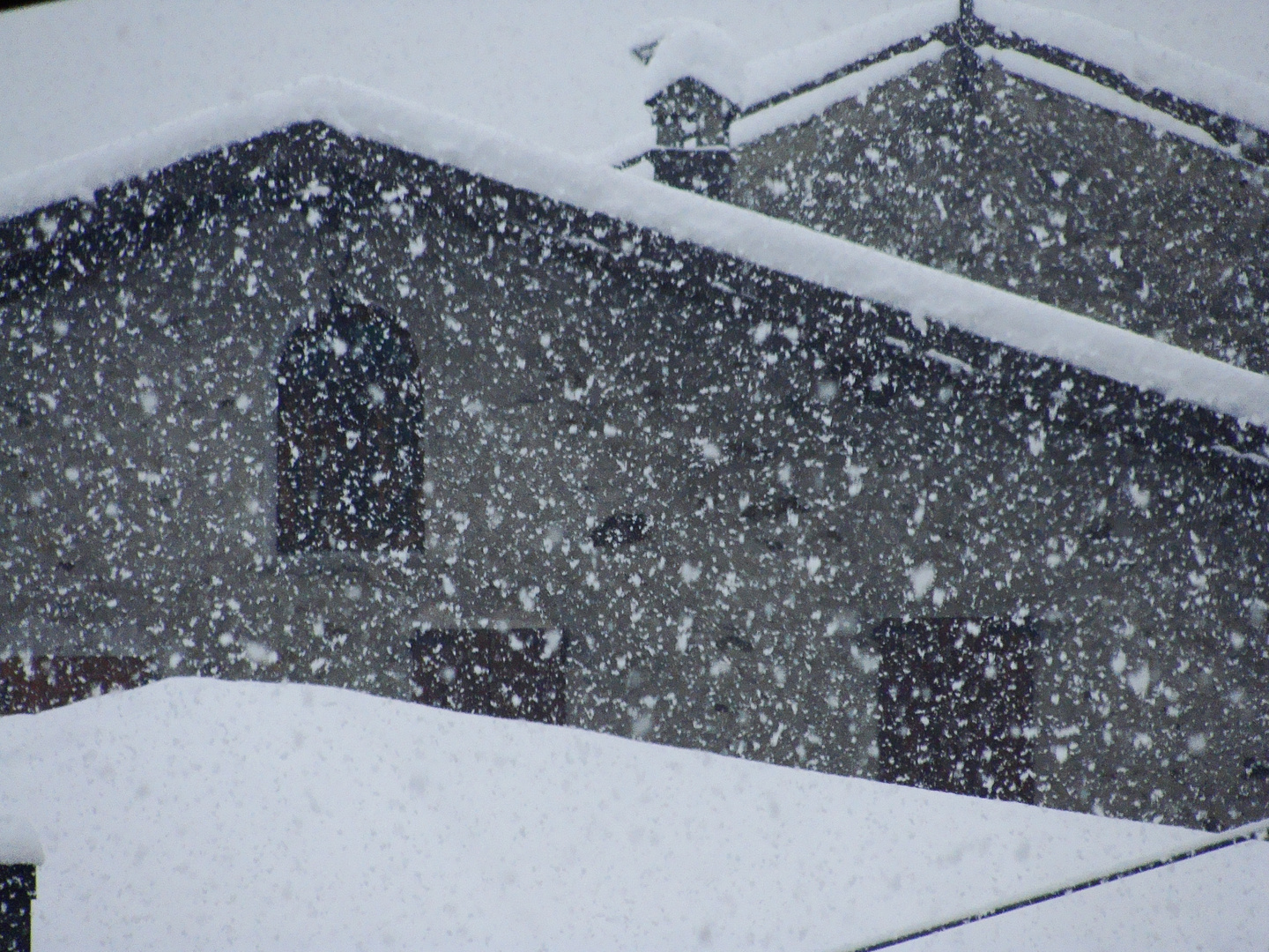 questa è neve