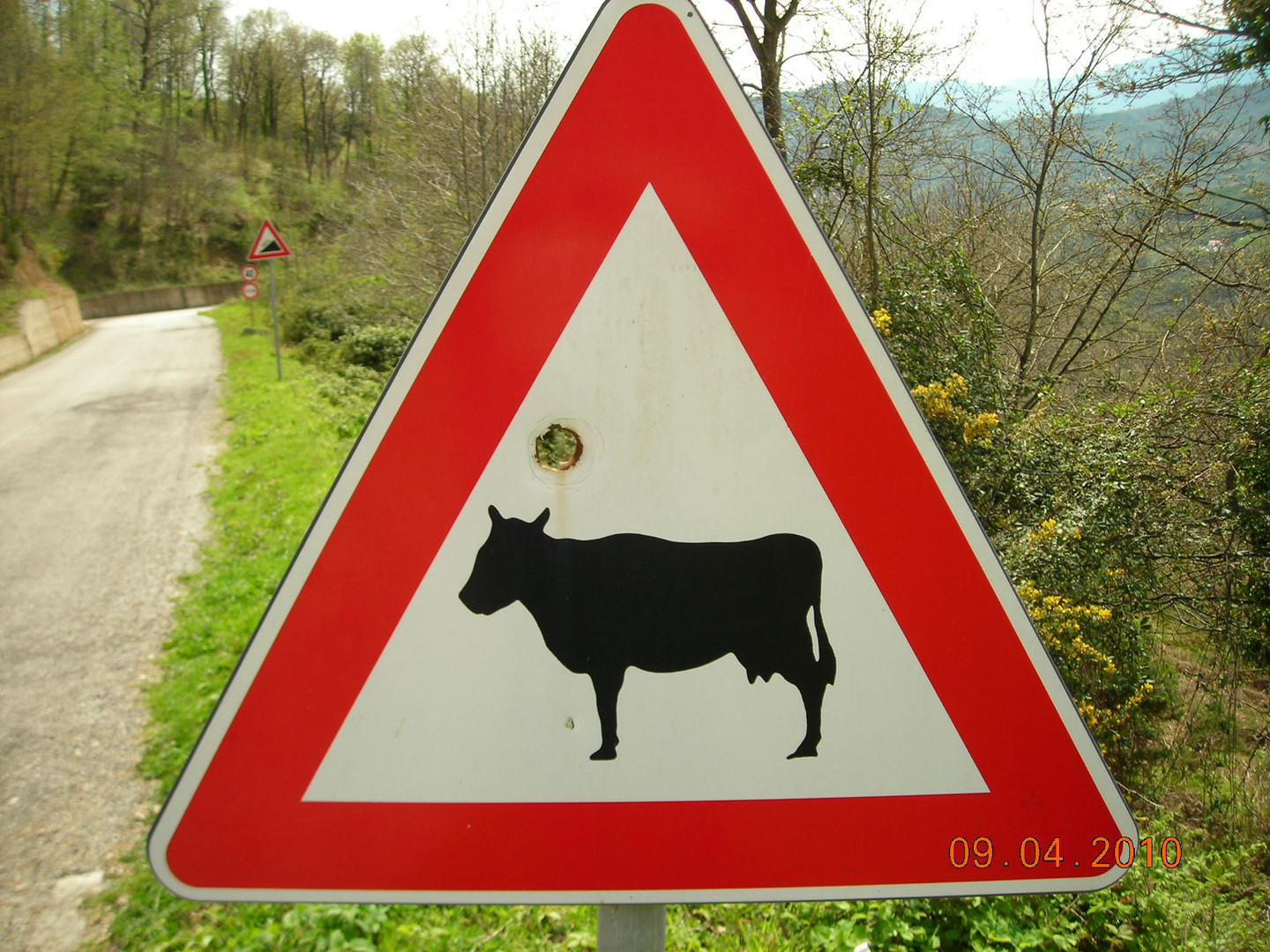 questo cacciatore voleva tirar via le fettine dal segnale.