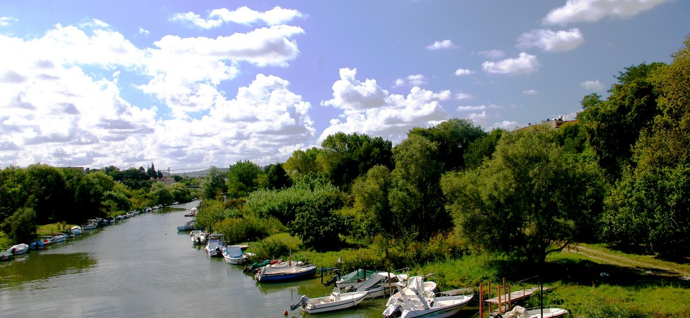 Questo   e uno  scorcio   del       fiume foglia nelle vicinanze del porto di Pesaro ..