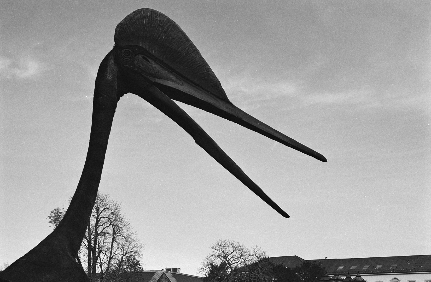 Quetzalcoatlus spotted in front of Karlsruhe Natural History Museum