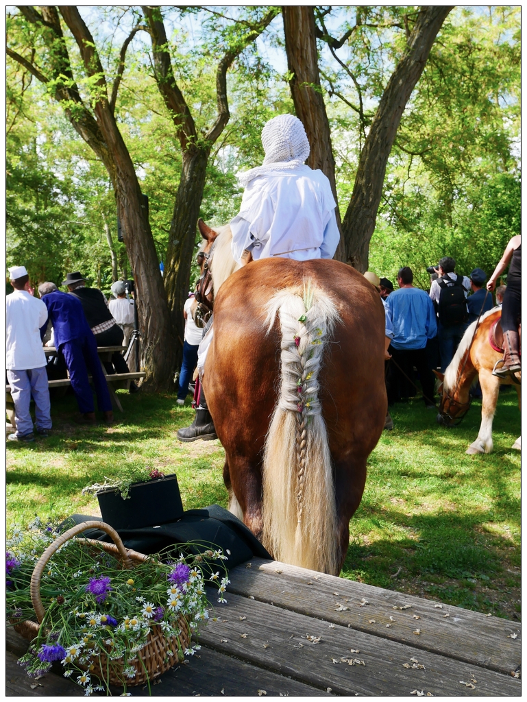 Queue de cheval