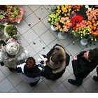 queue for the flowers