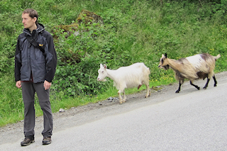 queuing in Norway