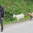 queuing in Norway