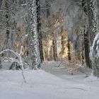 Qui a laissé la lumière ?